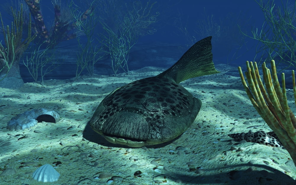 A Drepanaspis on the bottom of a shallow Devonian sea Canvas Art - Walter MyersStocktrek Images (18 x 11)