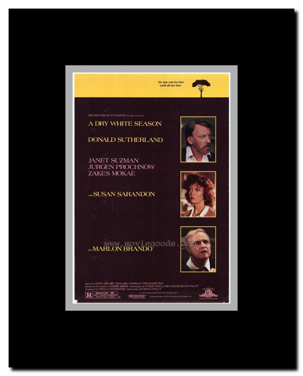 A Dry White Season Framed Movie Poster