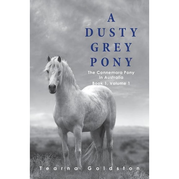 A Dusty Grey Pony Book 1 Volume 1 (Paperback)