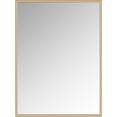 thumbnail image 1 of A&E Bath and Shower Prime Gold 24x32, 1 of 5
