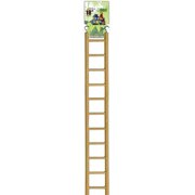A&E Cage 18 in. 0.5 Dia. Small Ladder Bird Toy