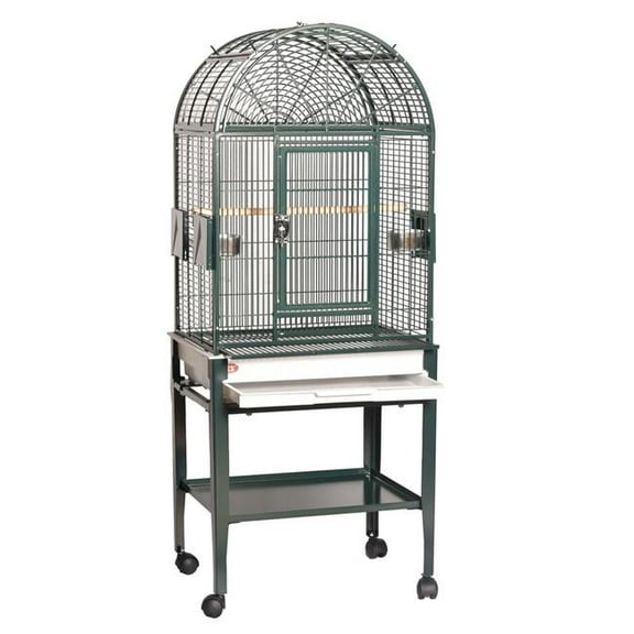A&E Cage GA22217C HQ Green 22 x 17 in. Dome Top Cage with Plastic Base, Green
