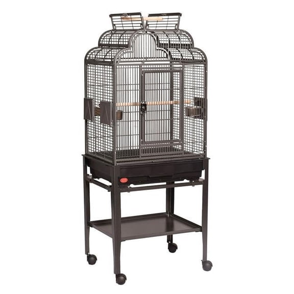A&E Cage GA82217C HQ Black 22 x 17 in. Open Top Cage with Plastic Base, Black