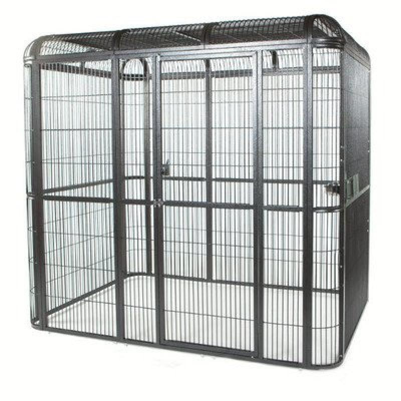 A&E Black Powder Coated 62" x 62" Walk-In Aviary