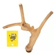 thumbnail image 1 of A & E Cage Company Java Wood Multi-Branch Bird Perch, Small, 1 of 2