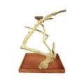 thumbnail image 1 of A&E Cage Company Medium Java Table Top - 22"x14"x22", 1 of 2