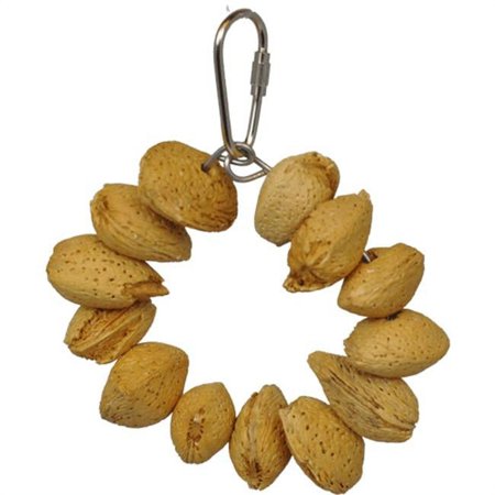 A&E Cage HB893 Almond Nut Ring Jr. Bird Toy