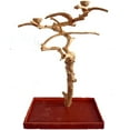 thumbnail image 1 of A&E Cage AE250M Medium Java Wood Tree Box, 1 of 2