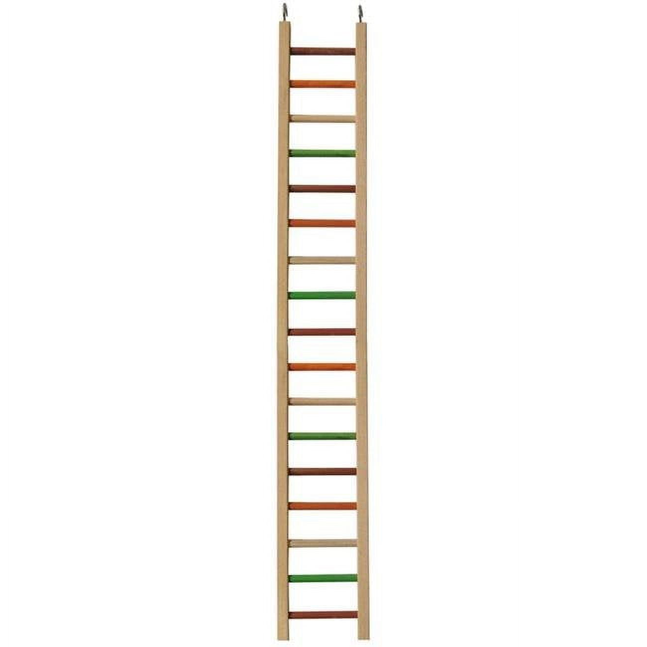 Multicolored Pine Wood Hanging Bird Ladder - 38"