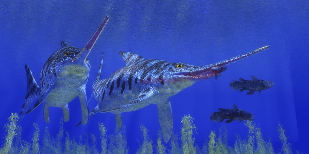 A Eurhinosaurus reptile preys on a coelacanth fish Canvas Art - Corey FordStocktrek Images (40 x 20)