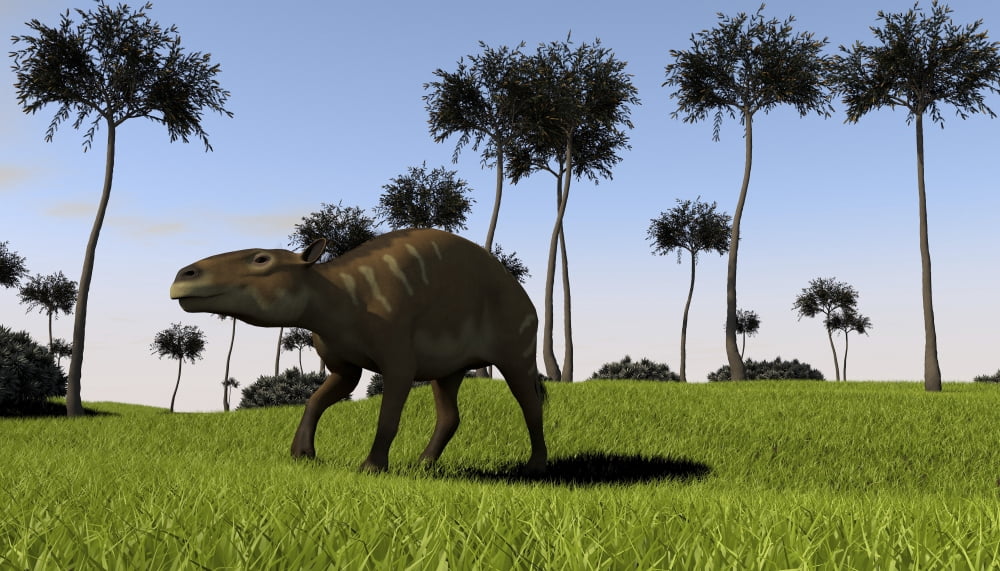 A Eurohippus walking across a grassy field Canvas Art - Kostyantyn IvanyshenStocktrek Images (38 x 22)