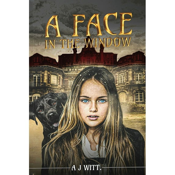 A Face in the Window, (Paperback)