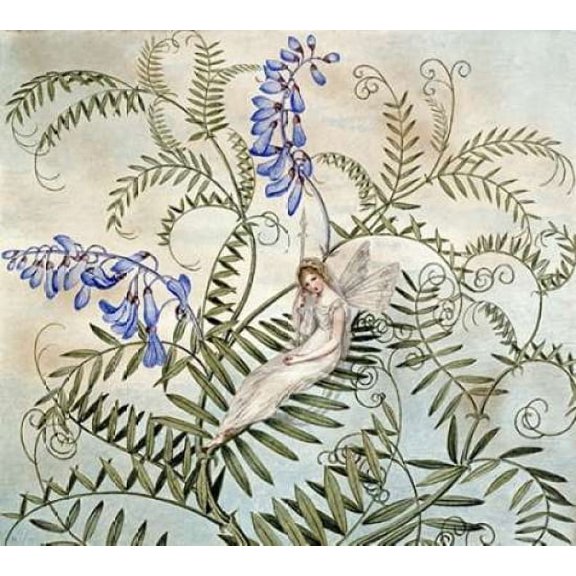 A Fairy Resting Among Flowers Poster Print by Amelia Jane Murray (12 x 12)