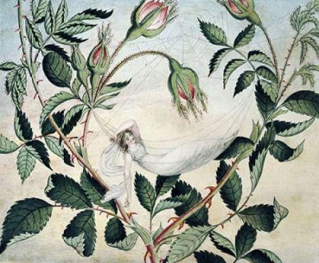 A Fairy Resting In a Hammock Canvas Art - Amelia Jane Murray (20 x 24)