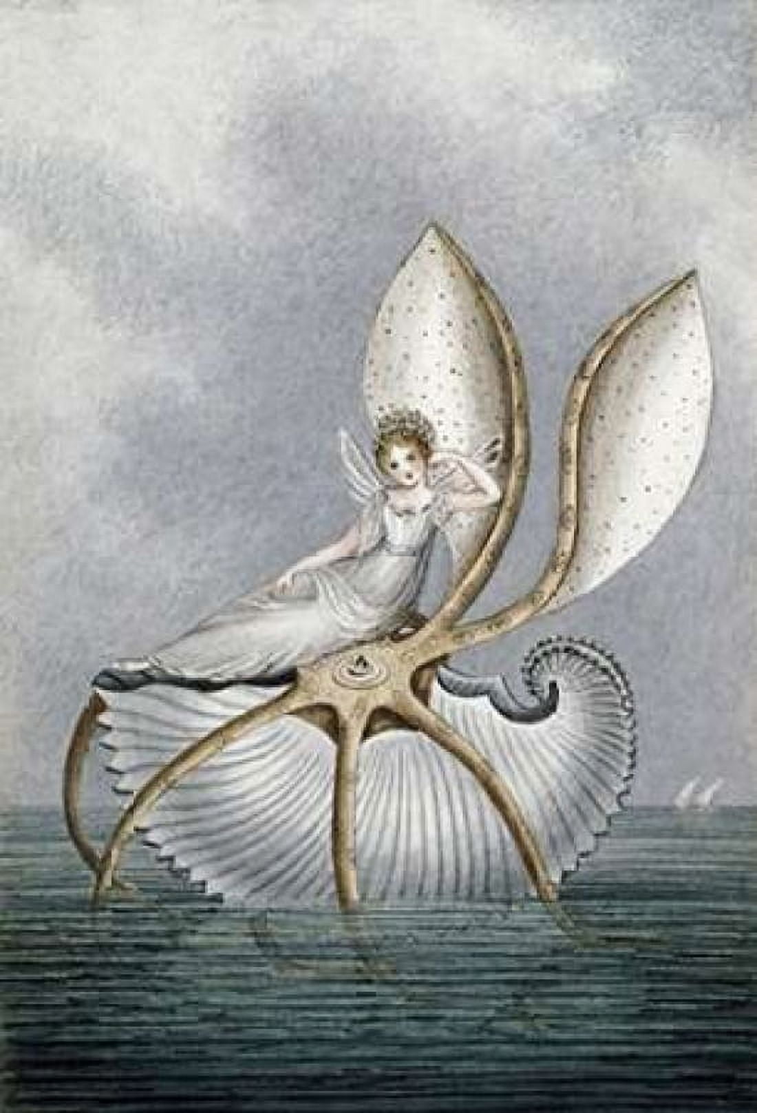 A Fairy Resting On a Shell Canvas Art - Amelia Jane Murray (12 x 18)