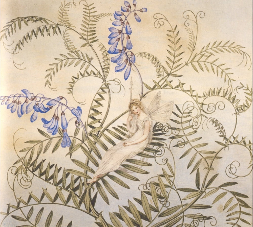 A Fairy resting in the Flowers Canvas Art - Lady Oswald (24 x 36)