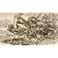 thumbnail image 1 of A Family of Hyenas From La Vida De Los Animales Published Spain Circa 1885 Poster Print, 19 x 11, 1 of 1