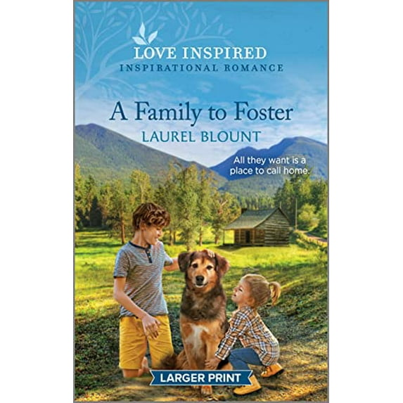 Pre-Owned A Family to Foster: An Uplifting Inspirational Romance (Mass Market Paperback) 1335598324 9781335598325