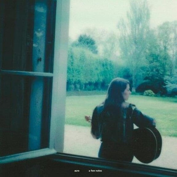 A Few Notes Aure (Vinyl Record)