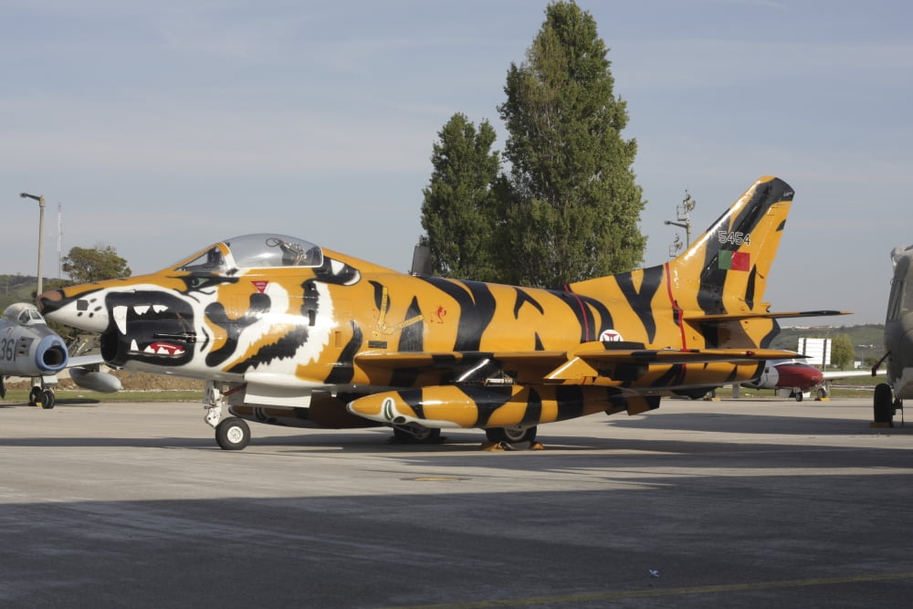 A Fiat G-91 fighter plane of the Portuguese Air Force Canvas Art - Timm ZiegenthalerStocktrek Images (18 x 12)