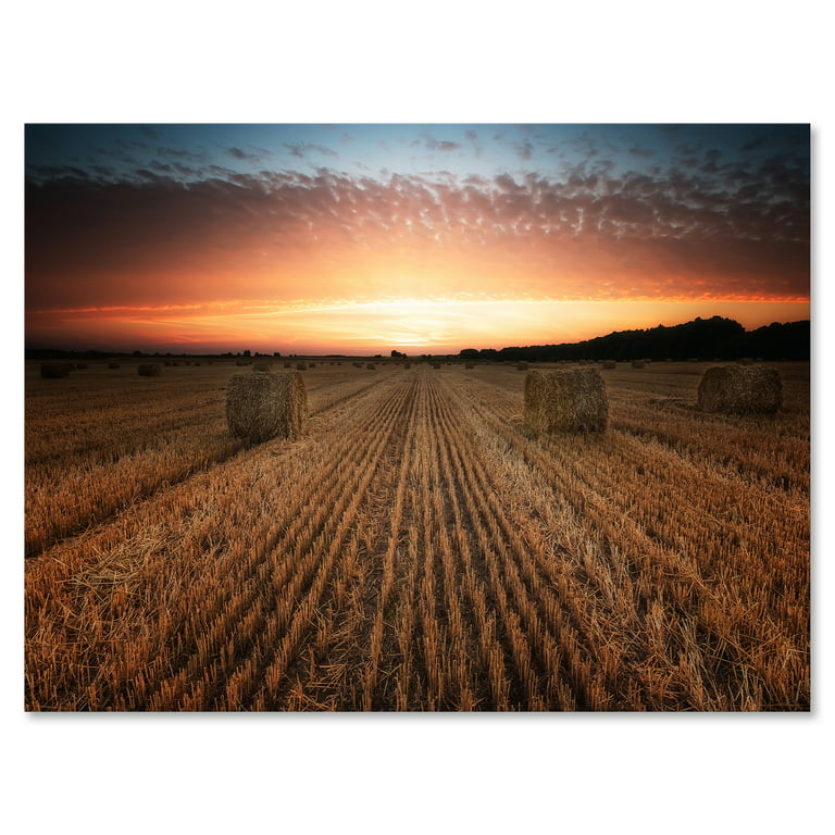 længde Relativ størrelse blanding A Field Full of Hay Bales At Sunset Landscape 8 in x 12 in Photography  Canvas Art Print, by Designart - Walmart.com