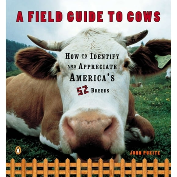 A Field Guide to Cows : How to Identify and Appreciate America's 52 Breeds (Paperback)