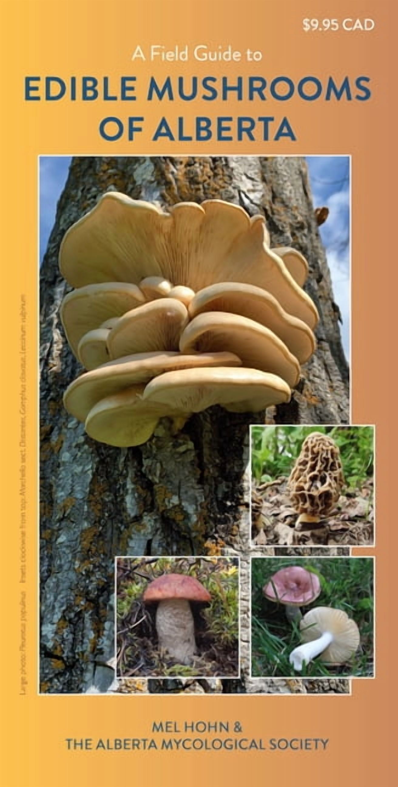 A Field Guide to Edible Mushrooms of Alberta, (Paperback)