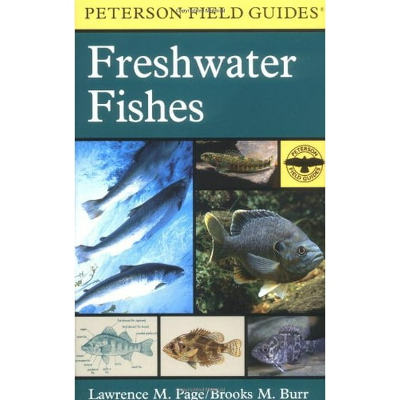 Pre-Owned A Field Guide to Freshwater Fishes: North America, North of Mexico (Peterson Field Guide) (Paperback) 0395910919 9780395910917
