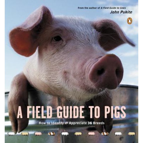 Pre-Owned A Field Guide to Pigs (Paperback) 0142002216 9780142002216
