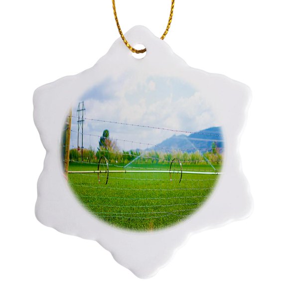 3drose, a Field of Vibrant Green Grass Being Watered by Sprinklers on a Farm with a Fence in Front, 3 inch Snowflake Porcelain Ornament