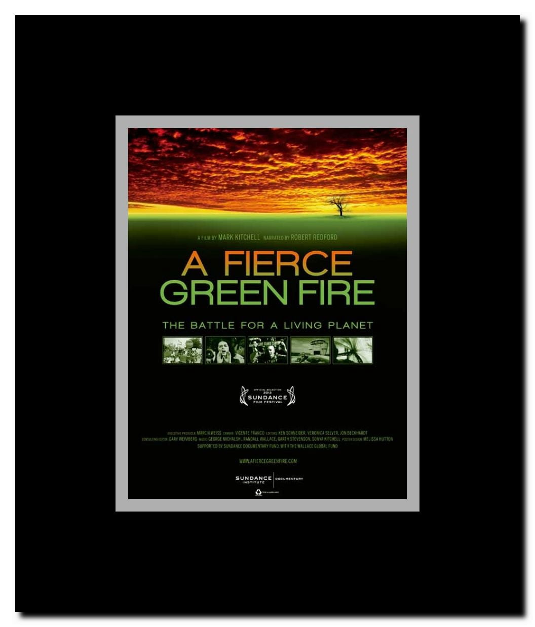 A Fierce Green Fire: The Battle for a Living Planet Framed Movie Poster