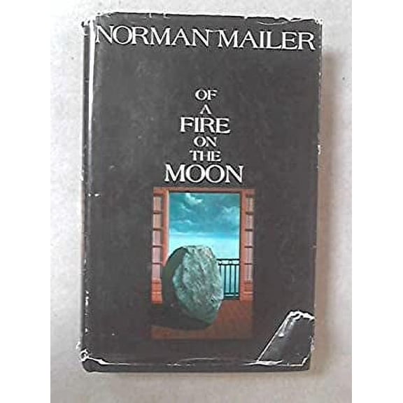 Pre-Owned A Fire on the Moon (Paperback) 9780297179528