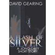 A Flash of Silver Paperback