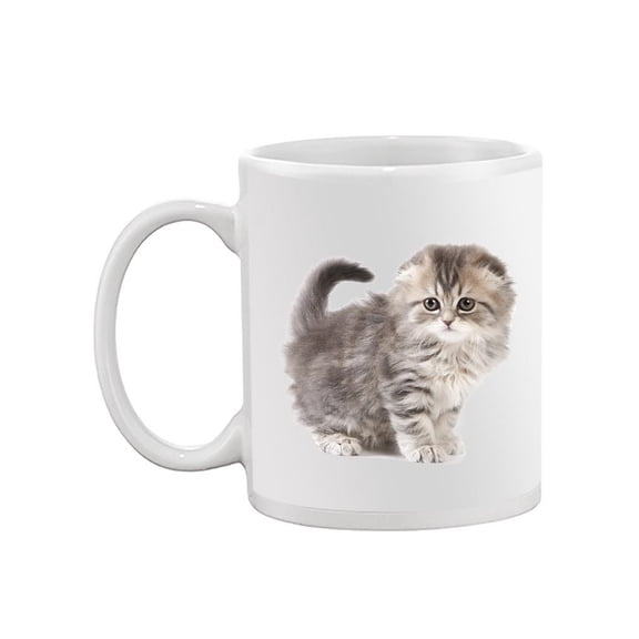 A Fluffy Kitten Mug  -Image by Shutterstock,