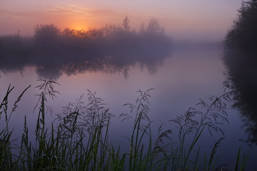 A Foggy Summer Sunrise On A Prairie Pond In Central Alberta Canvas Art - Dan Jurak Design Pics (34 x 22)