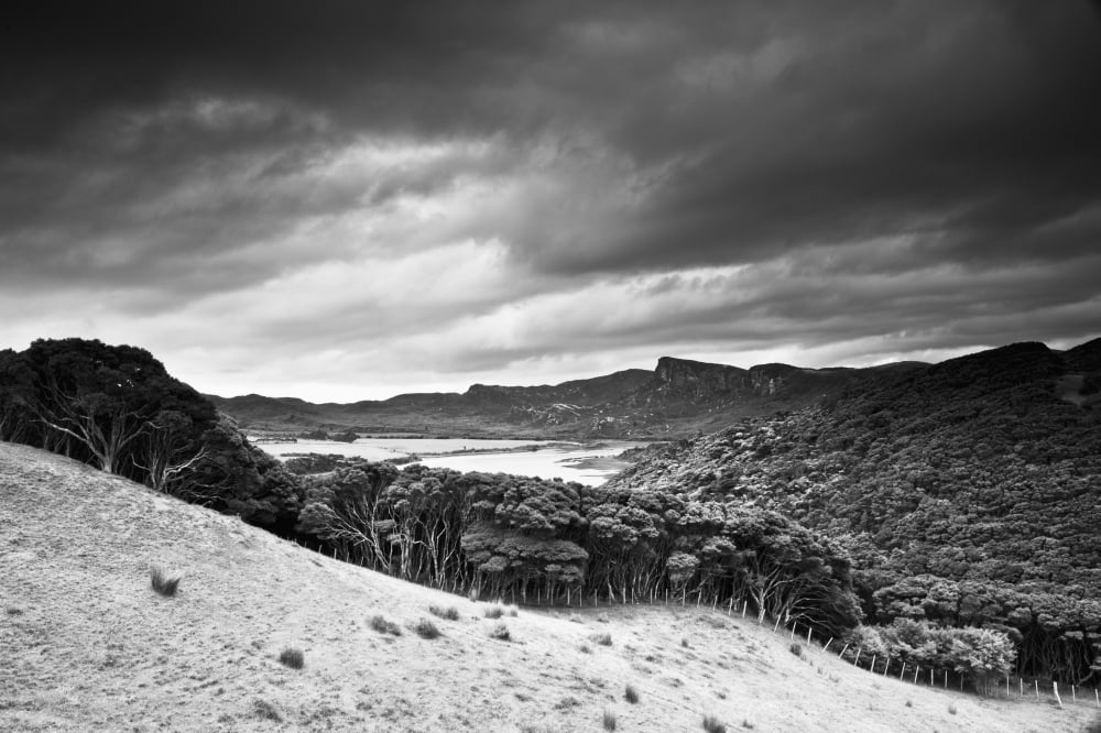 A Forest Area Along The Coast Under A Dark Cloudy Sky Farewell Spit South Island New Zealand Canvas Art - David DuChemin Design Pics (19 x 12)
