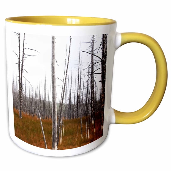 3drose, a Forest Inside Yellowstone National Park in Early Fall, 11oz Two-tone Yellow Mug