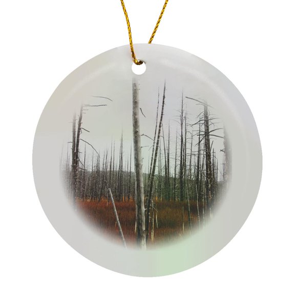3drose, a Forest Inside Yellowstone National Park in Early Fall, Circle Porcelain Ornament