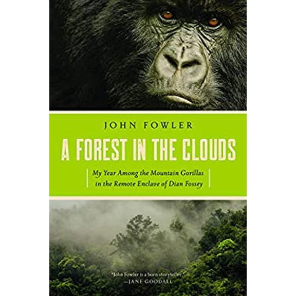 Pre-Owned A Forest in the Clouds (Paperback) 1643131419 9781643131412