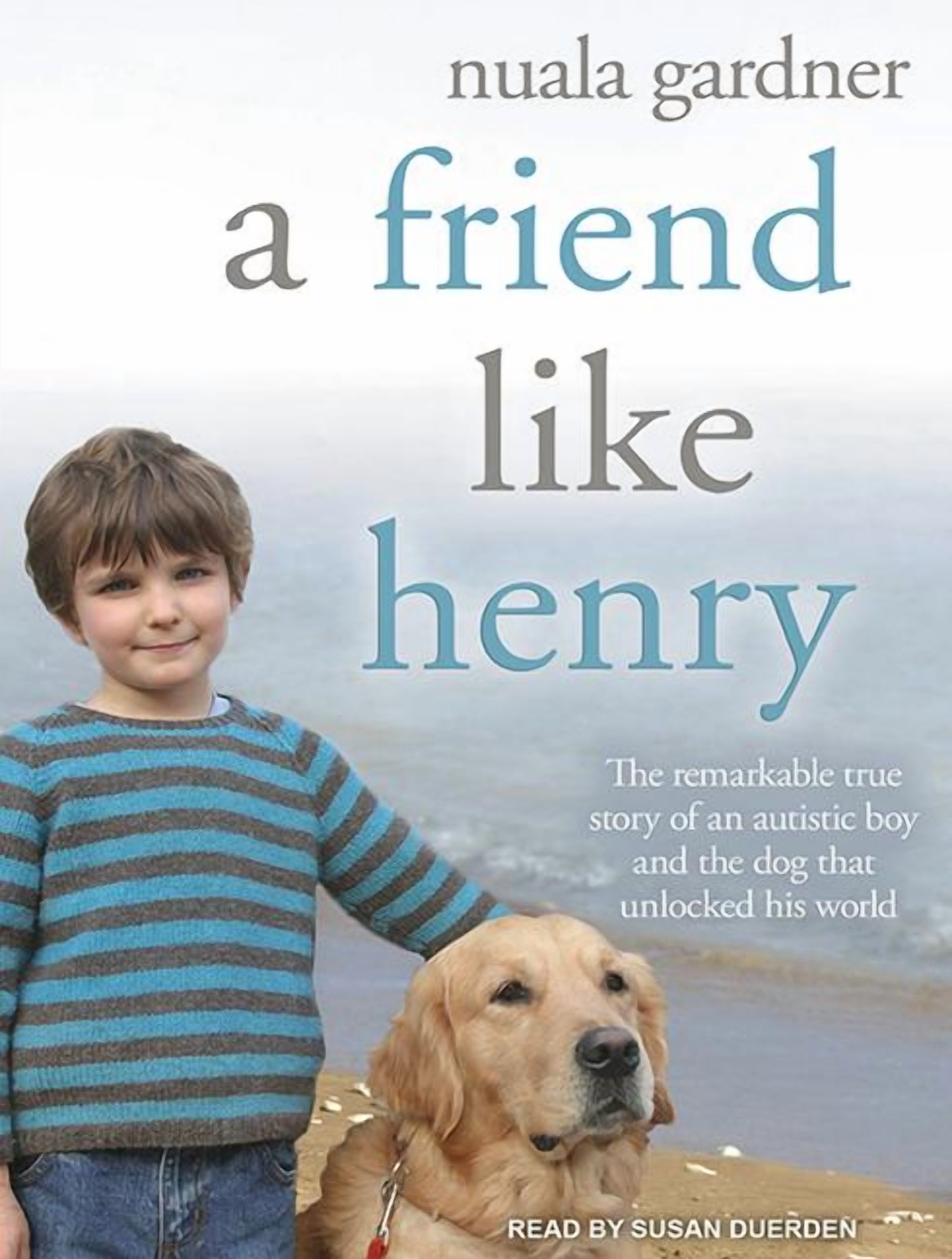 A Friend Like Henry (Audiobook)