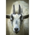 thumbnail image 1 of A Friendly Goat Greets Children At Bandons Petting Zoo; Bandon  Oregon  United States Of America Poster Print, 1 of 2