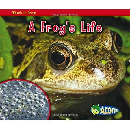 Pre-Owned A Frog s Life (Paperback) 1432941496 9781432941499