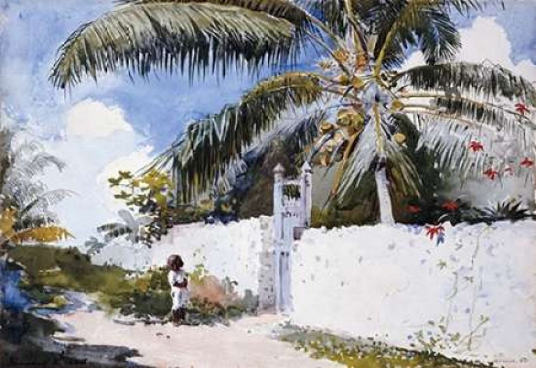 A Garden In Nassau Canvas Art - Winslow Homer (20 x 28)