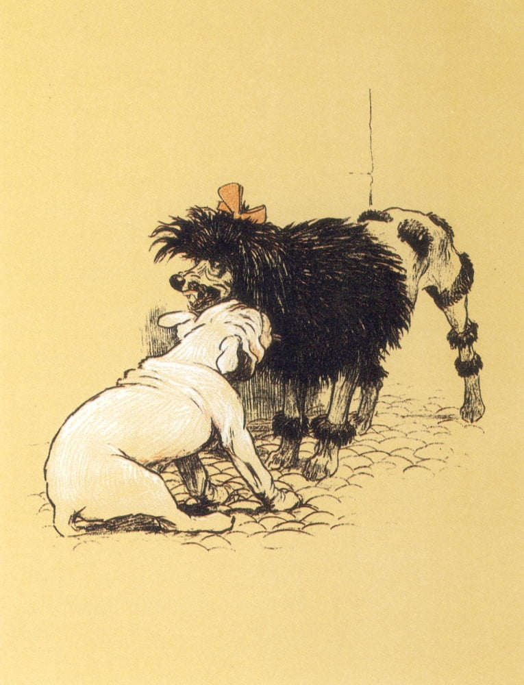 A Gay Dog 1905 Poodle Canvas Art - Cecil Aldin (24 x 36)