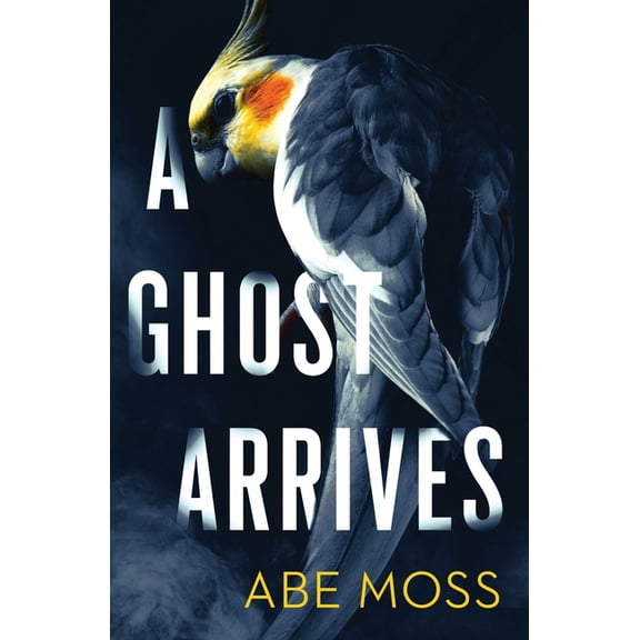 A Ghost Arrives, (Paperback)