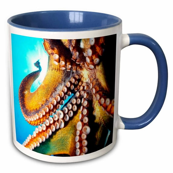 3drose, a Giant Hawaiian Octopus, 11oz Two-tone Blue Mug