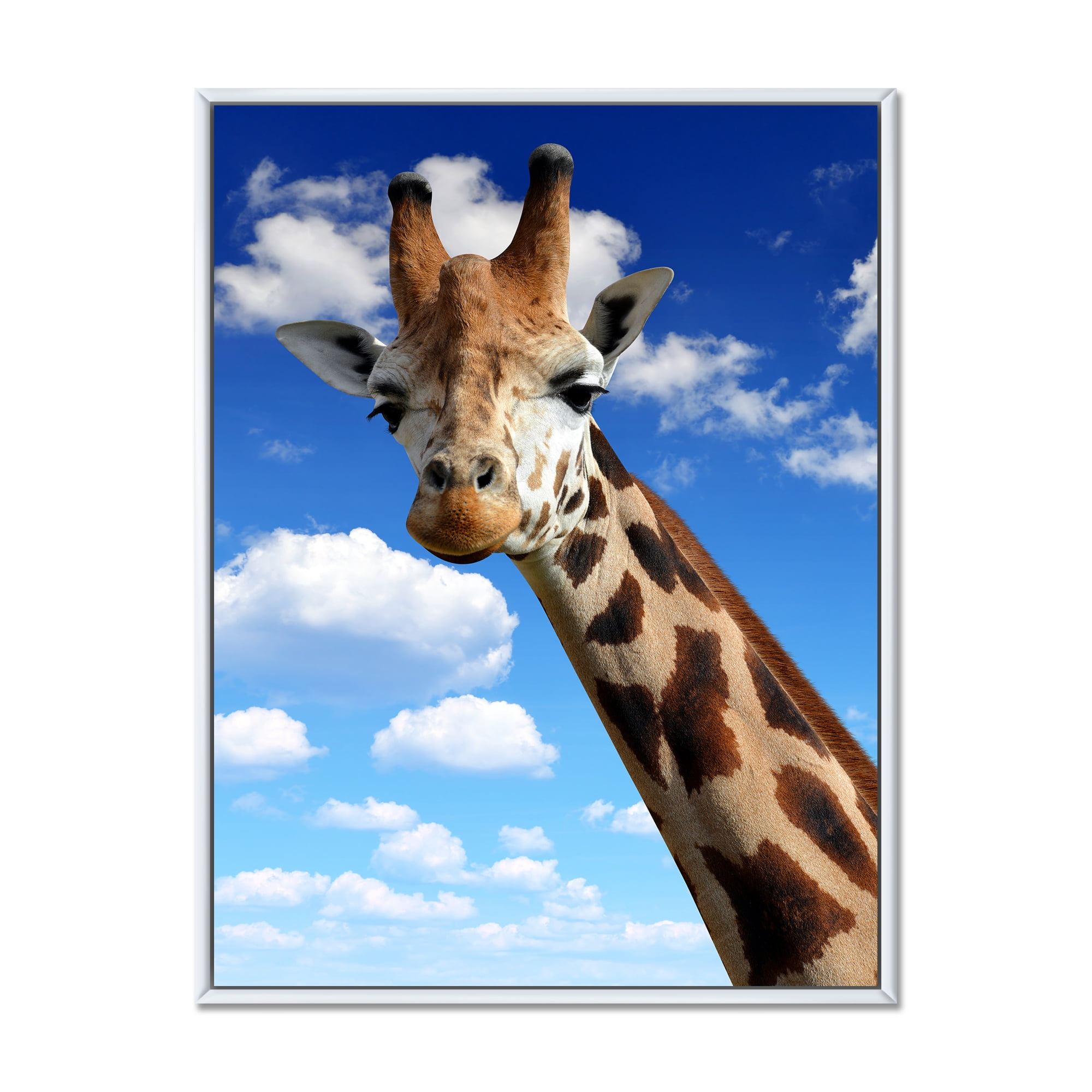 A Giraffe On A Blue Sky Portrait 12 in x 20 in Framed Photography Canvas Art Print, by Designart