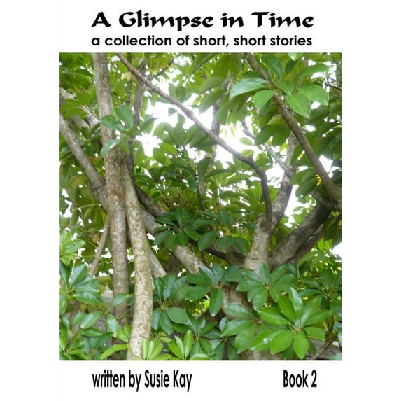 A Glimpse in TIme Book 2, (Paperback)
