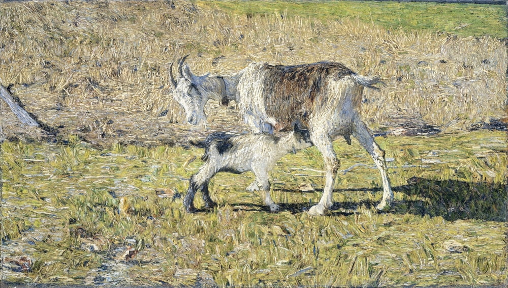 A Goat With Her Kid Canvas Art - (24 x 18)