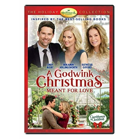 A Godwink Christmas: Meant for Love
